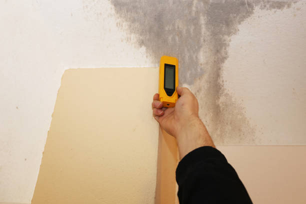 Best Mold Prevention Services  in Whitewater, WI