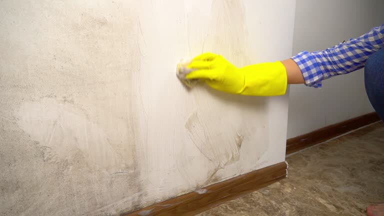 Best Forensic Mold Investigation  in Whitewater, WI