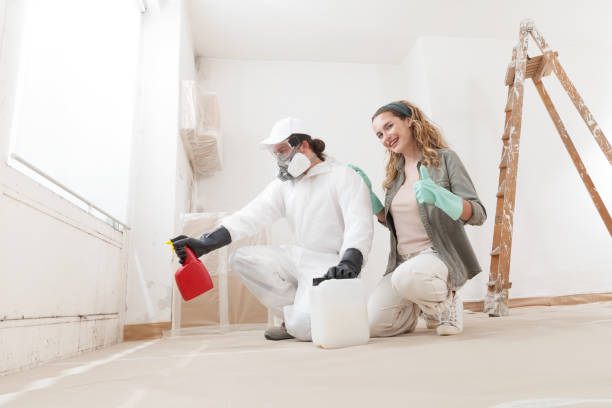 Best Mold Remediation for Healthcare Facilities  in Whitewater, WI